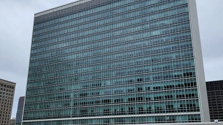 Illustration for: UK Weighs Backing Nusseibeh for UN Post